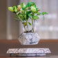 Levitating - Magnetic Floating Marble Pot ©